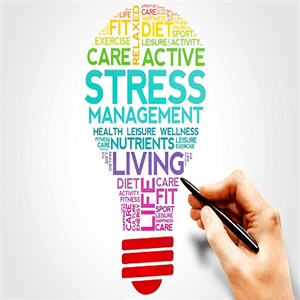 Stress Management Strategists Training Course